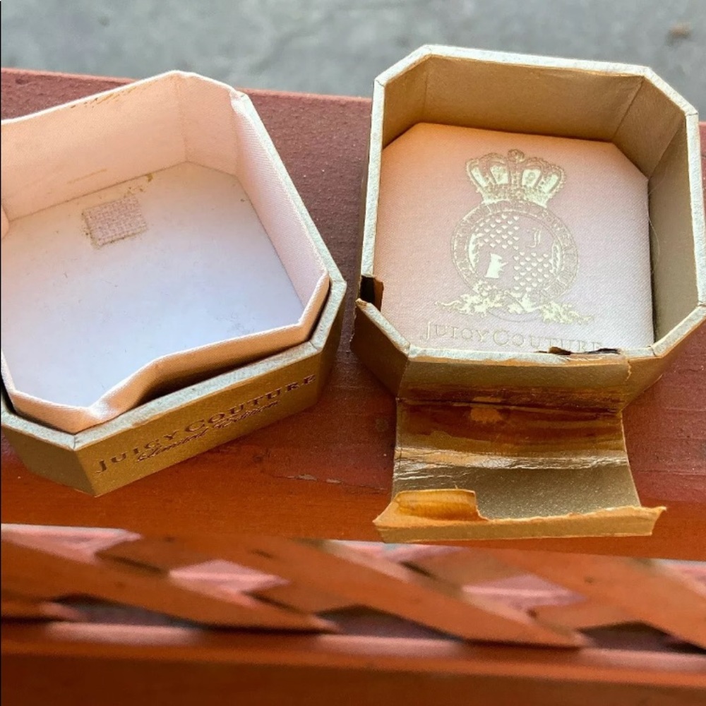 Juicy Couture LE 2011 PUMPKIN PIE HOLIDAY CHARM - Picture 8 of 8